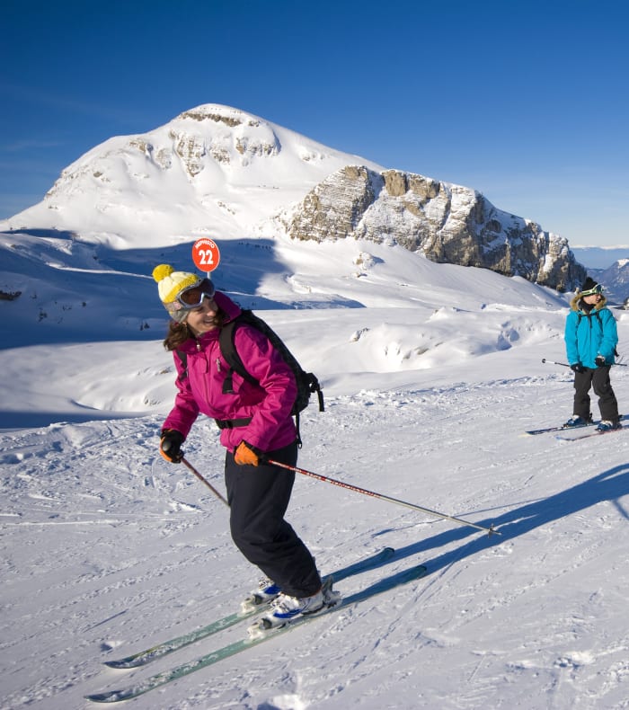 Ski "Progress"