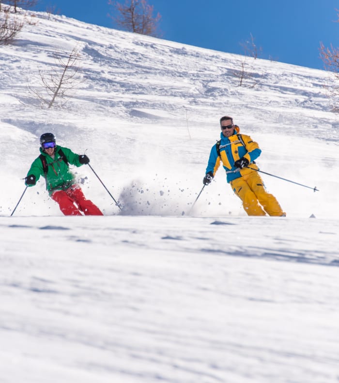 Ski freerando — billede 2