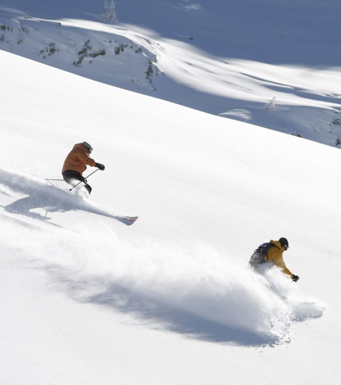 Ski freerando et Vallée Blanche