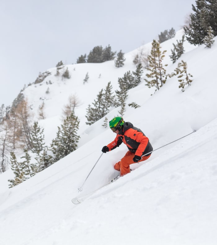 All Mountain offpiste ski — billede 2