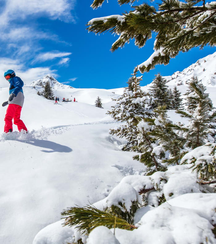 Snowboard Pack Mi-temps — billede 2