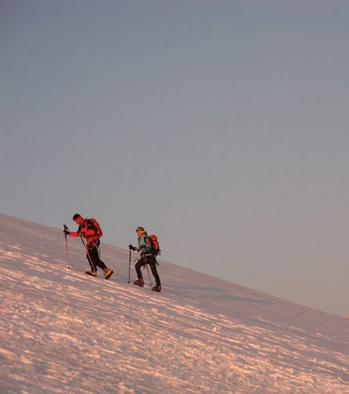 Bishorn-topmødet 4159 m — billede 3