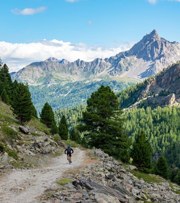 Sport Mix Audace — billede 2