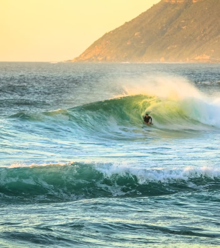 Surf & Safari — billede 3