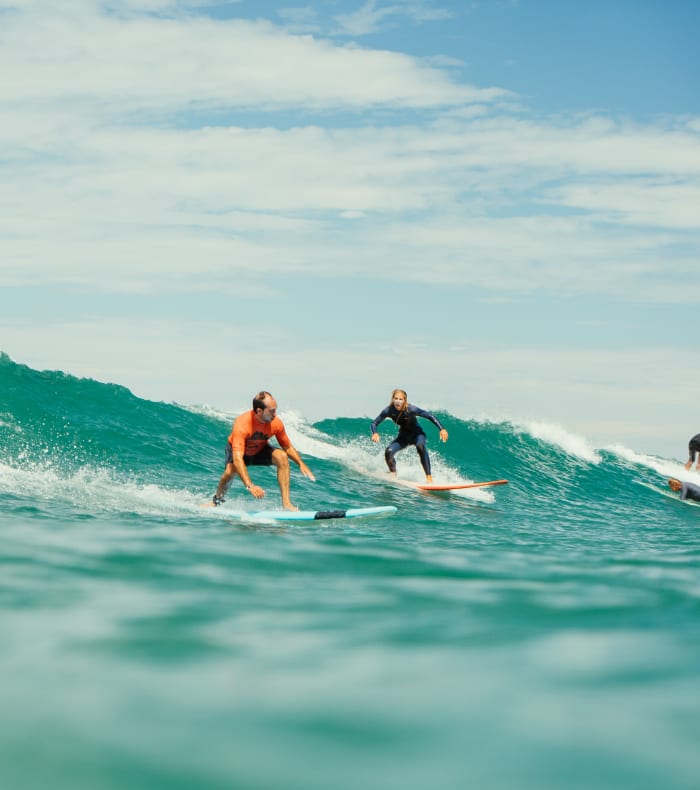 Surf & Skate