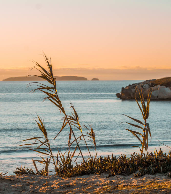 Surf & Yoga — billede 2