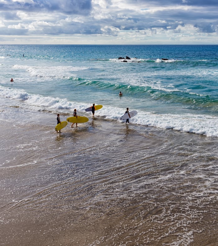Surf for begyndere — billede 3