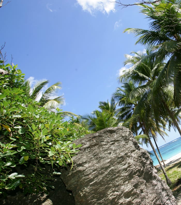 Surf Trip / Découverte Caraïbes