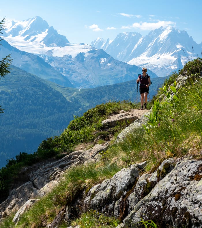 Tour des Aiguilles Rouges - Happy Summer — billede 2