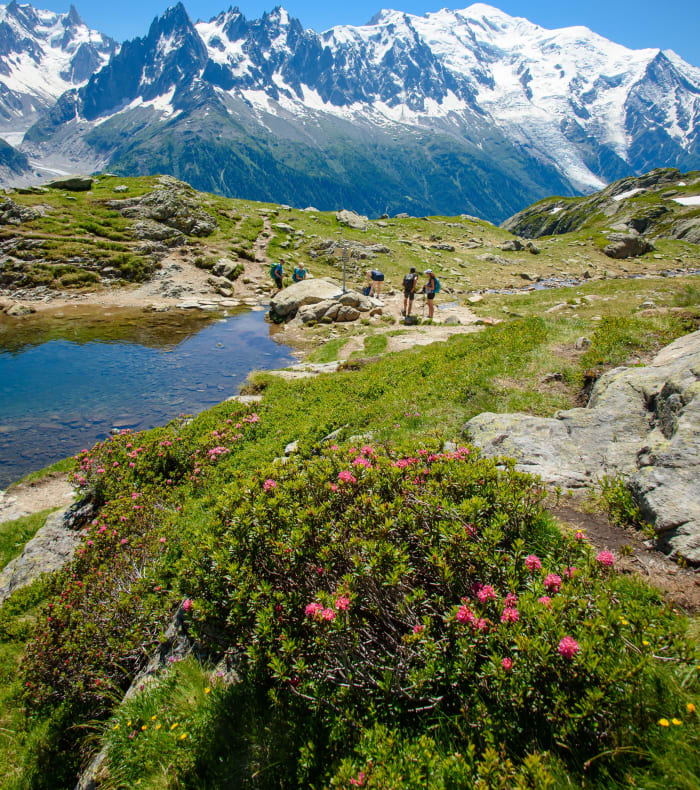 Tur til Aiguilles Rouges — billede 2