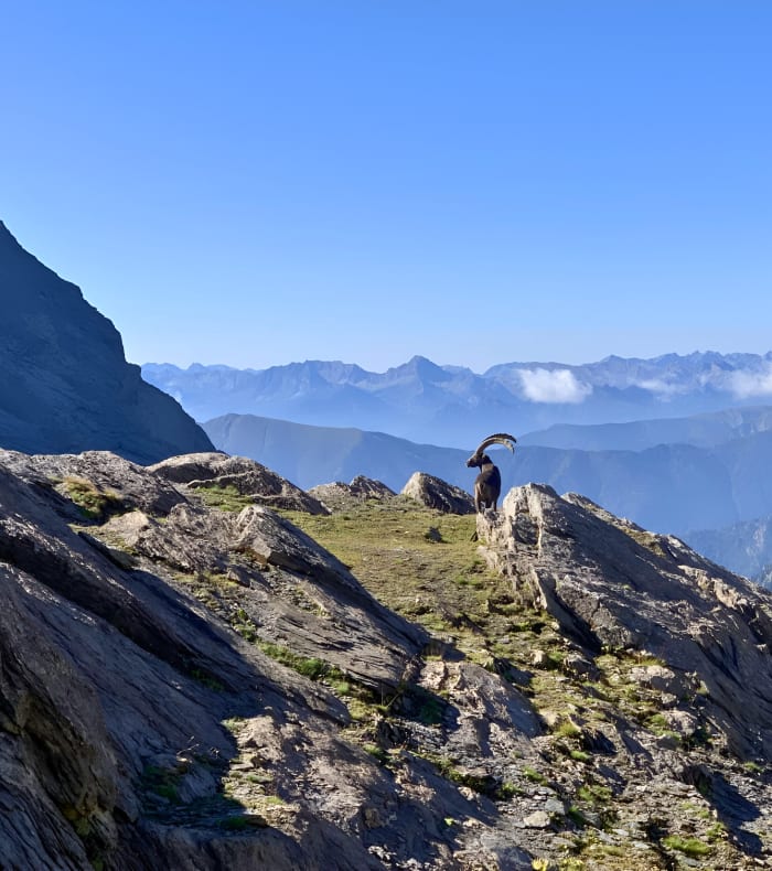 Tour du Viso — billede 2
