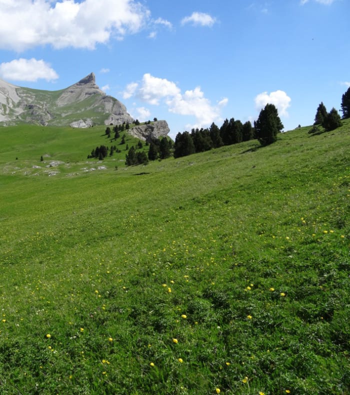 Break Trail et Yoga, Evasion nature dans le Vercors