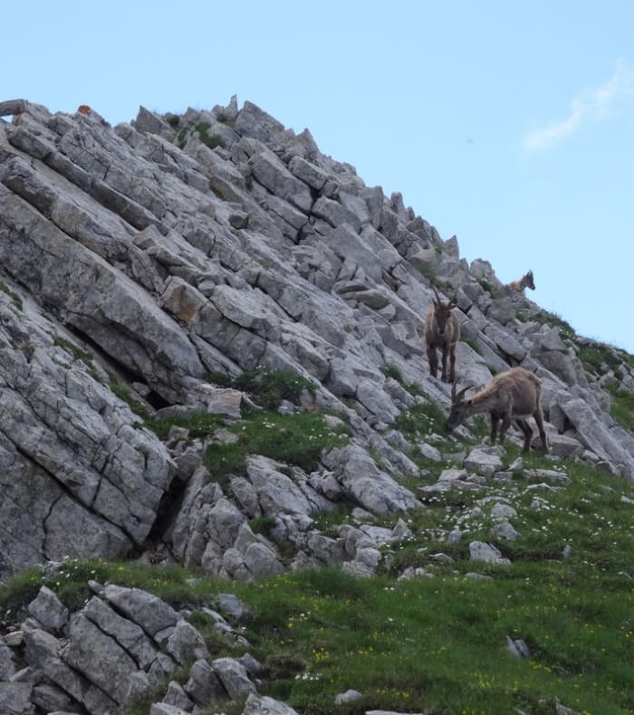 Break Trail et Yoga, Evasion nature dans le Vercors