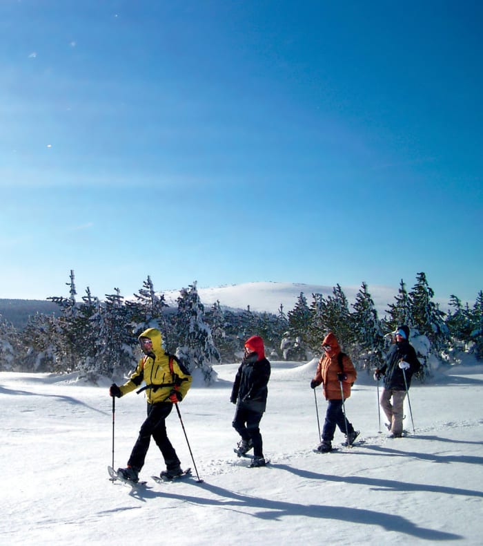 Trail nordic — billede 2