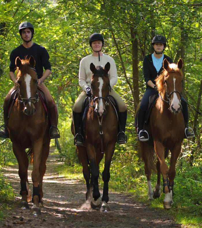 Week-End Equitation intermédiaire