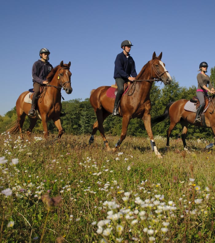 Weekend Équitation perfectionnement - Sans hébergement