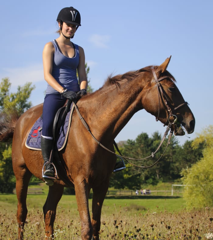 Weekend Équitation perfectionnement