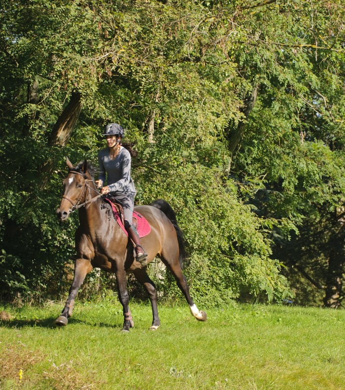 Weekend Équitation perfectionnement