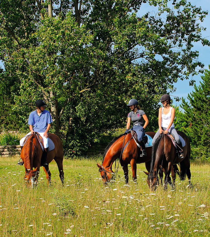 Weekend Équitation perfectionnement