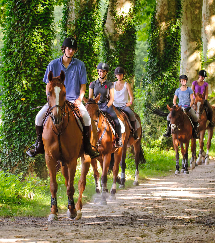 Weekend Équitation spécial débutant