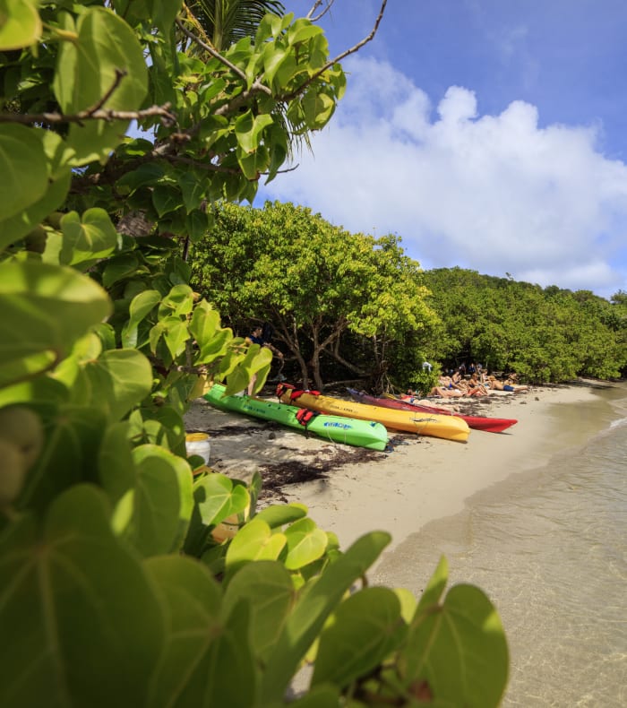 Windsurf / Wingsurf 15 jours