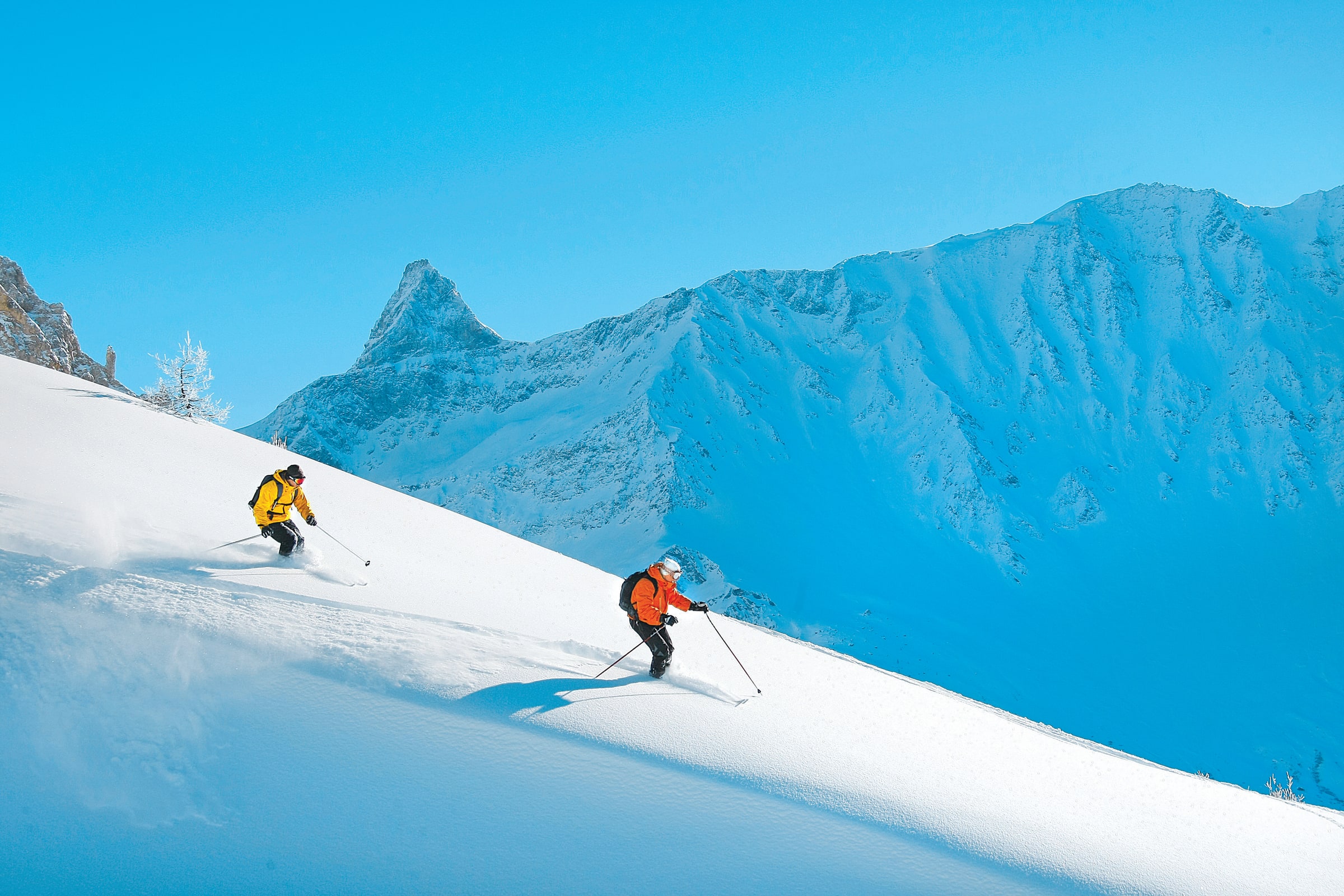 Freerando ski og Vallée Blanche — billede 2