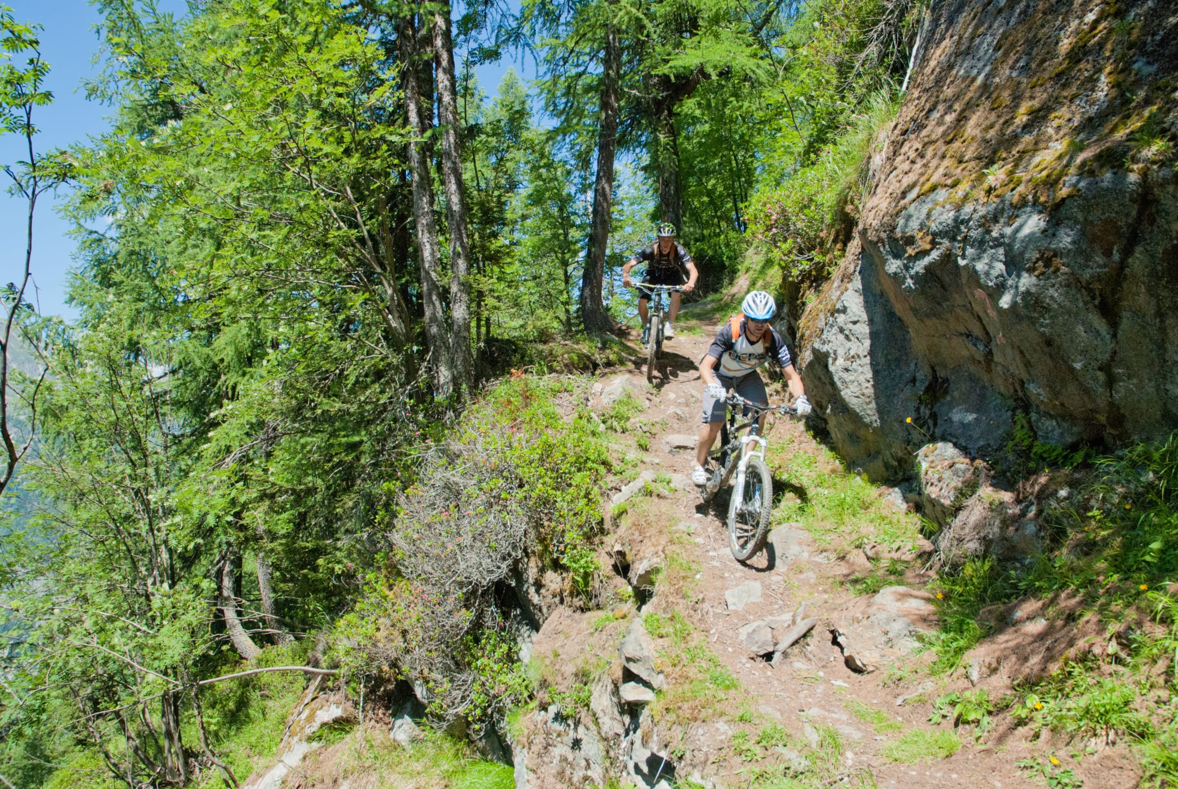 Downhill mountainbike Let øvet - Happy Summer — billede 2