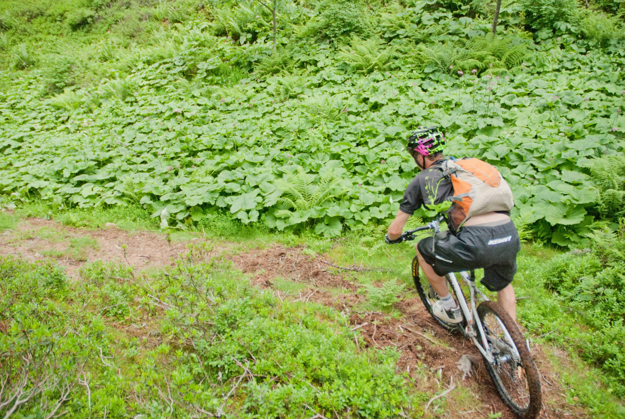 Enduro MTB Shuttle Expert — billede 2