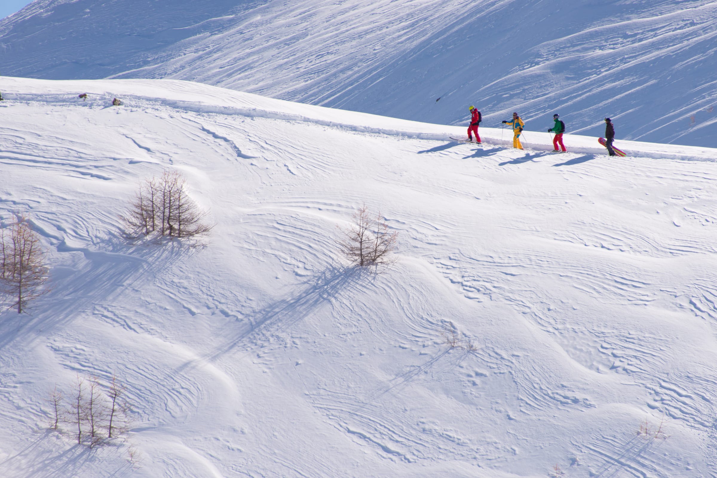 Ski freerando — billede 2