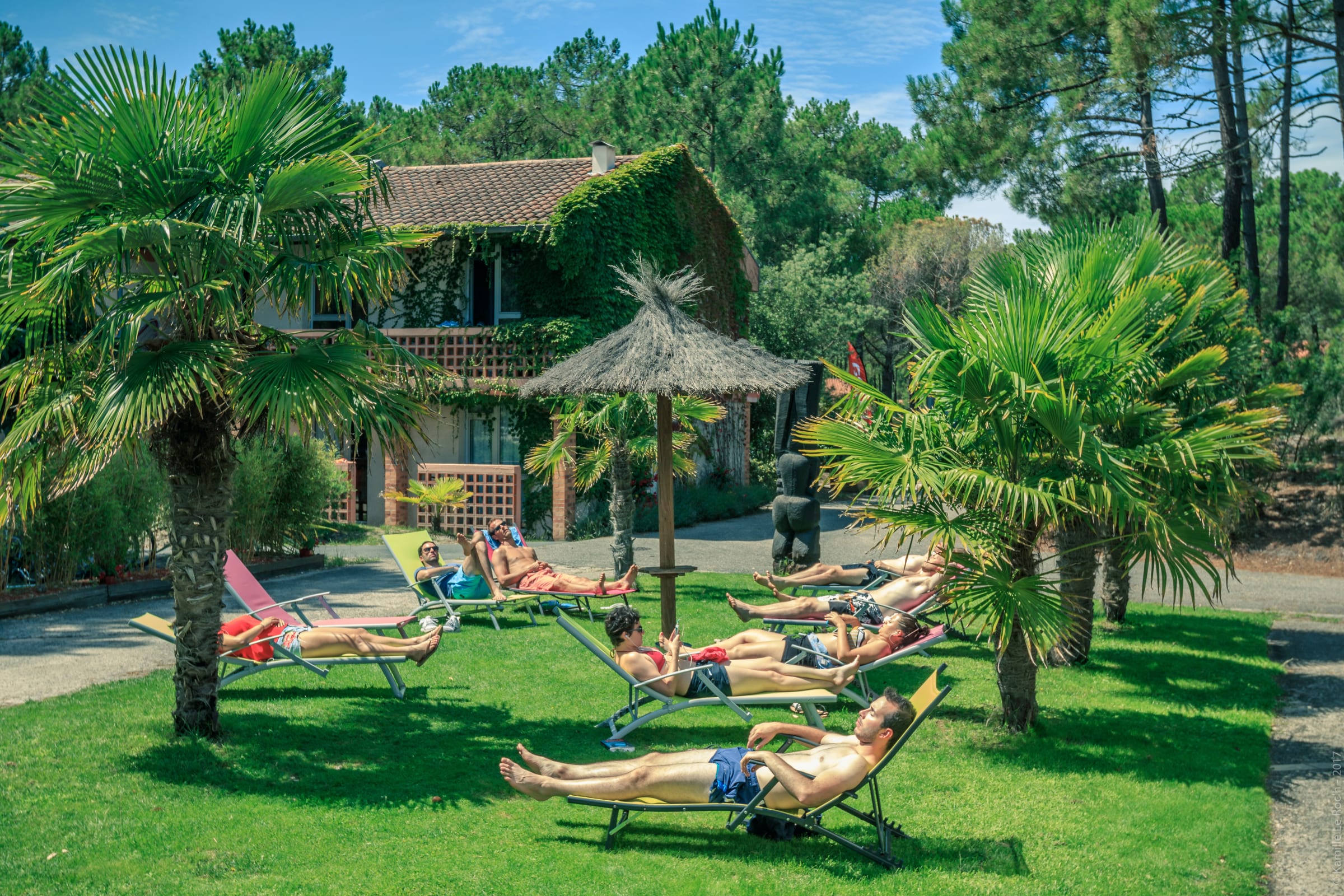 Fuld Golf special for begyndere - Happy Summer — billede 2