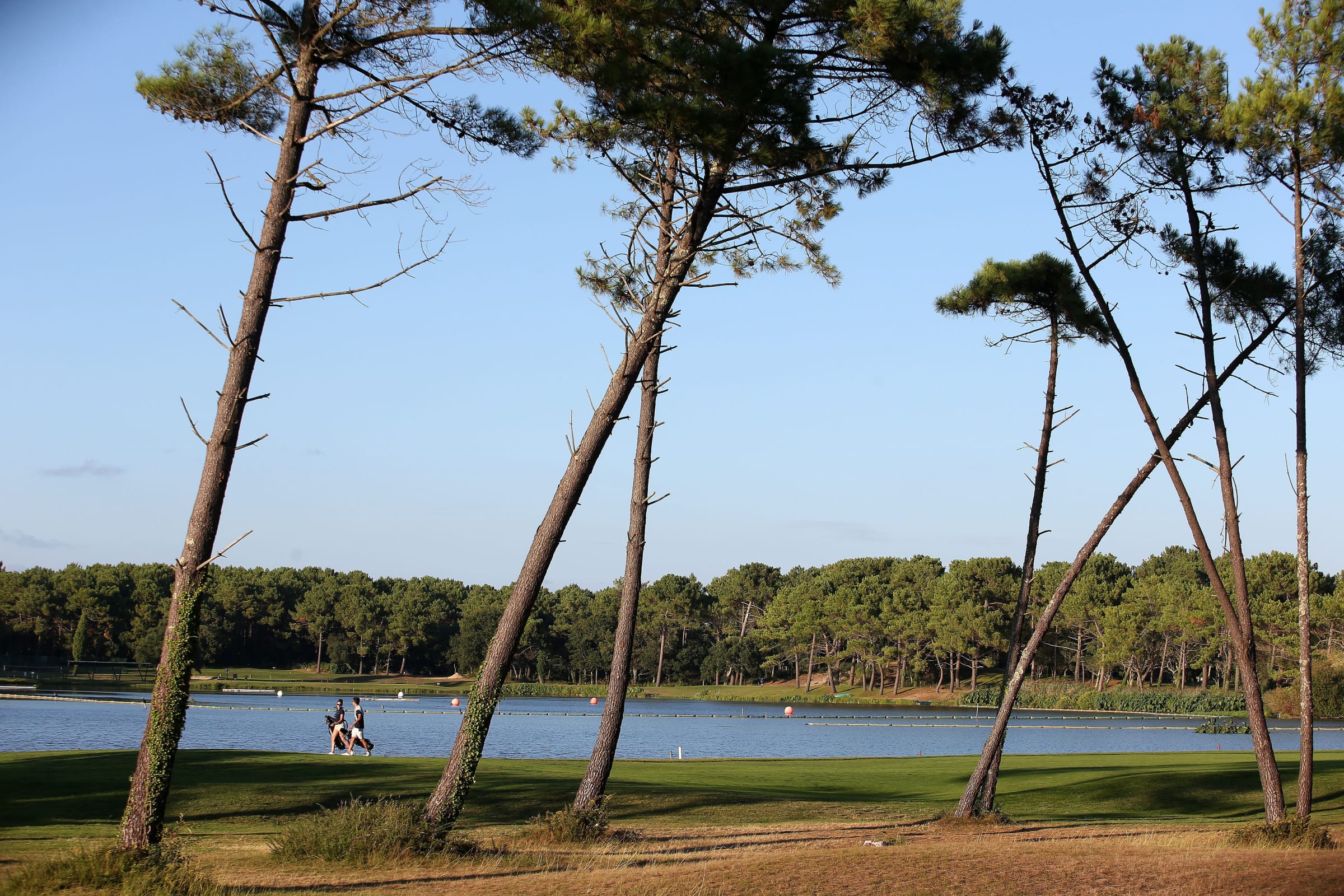 Godt tilbud i Landes — billede 3