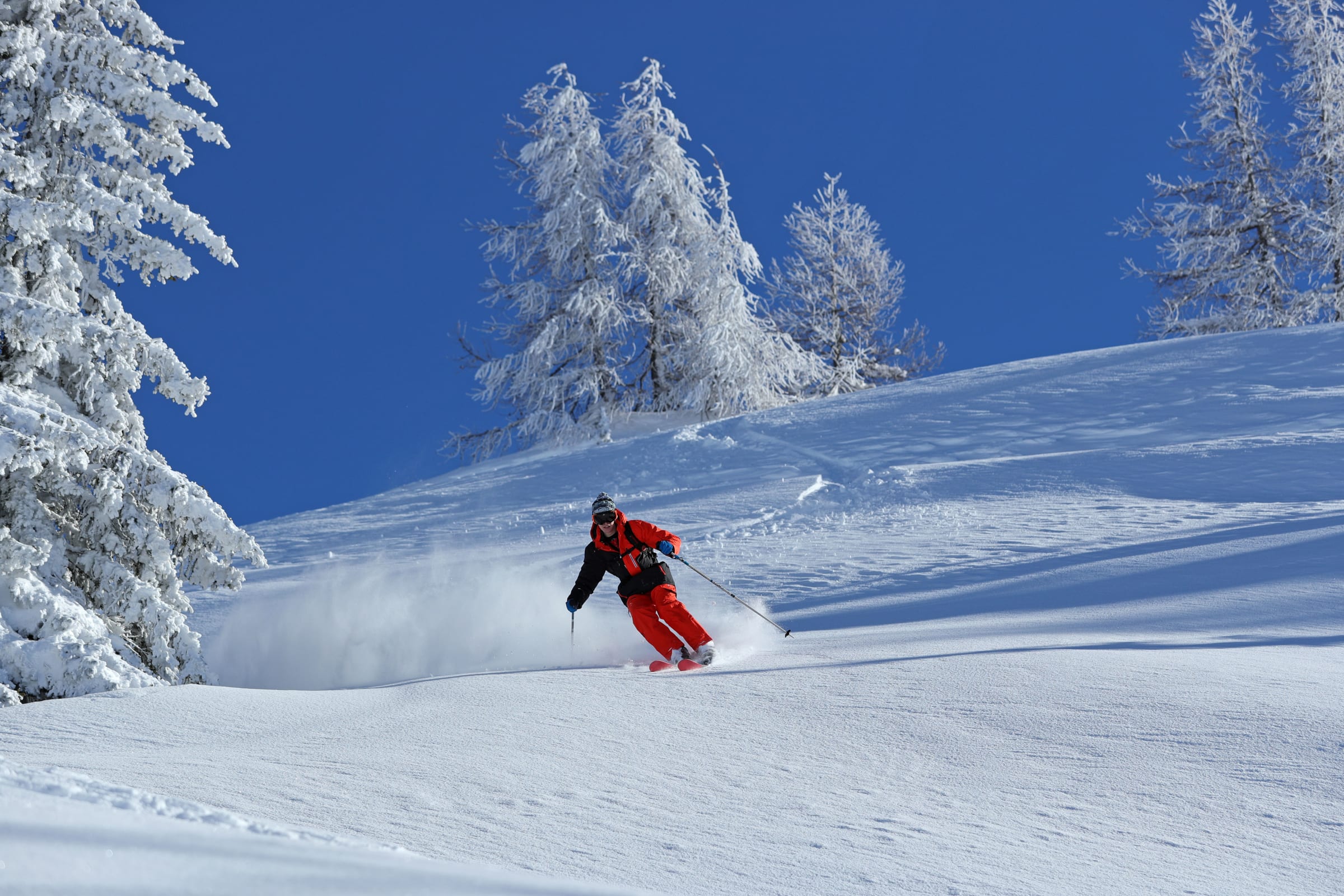 Ekspert offpist ski — billede 1