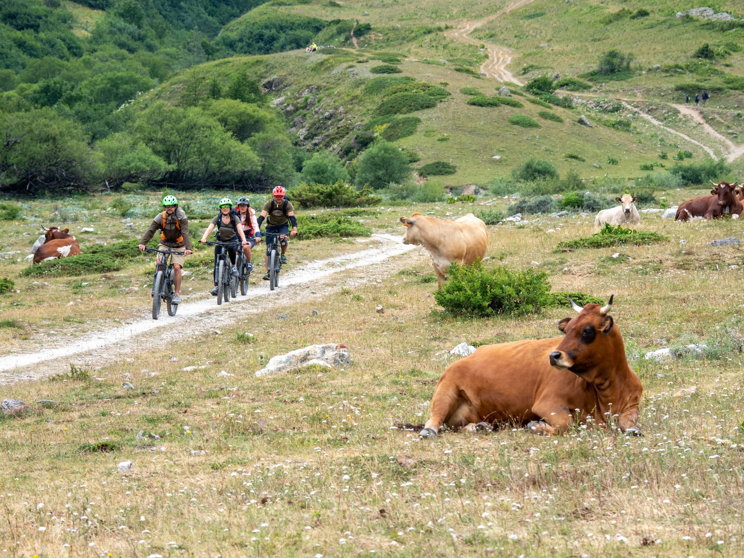Break 4J Serre Che Introduktion Enduro VTT – relateret UCPA rejse