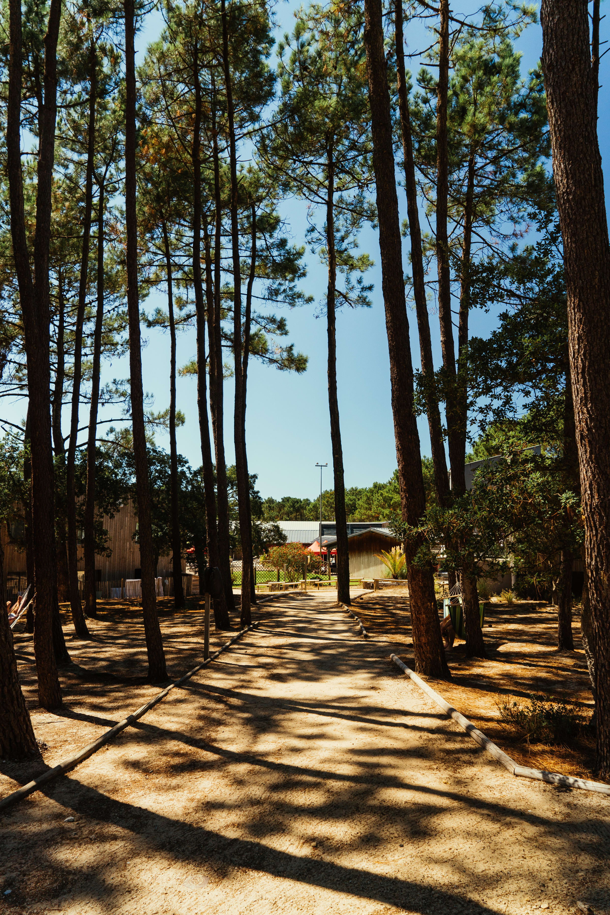 Godt tilbud i Landes — billede 1