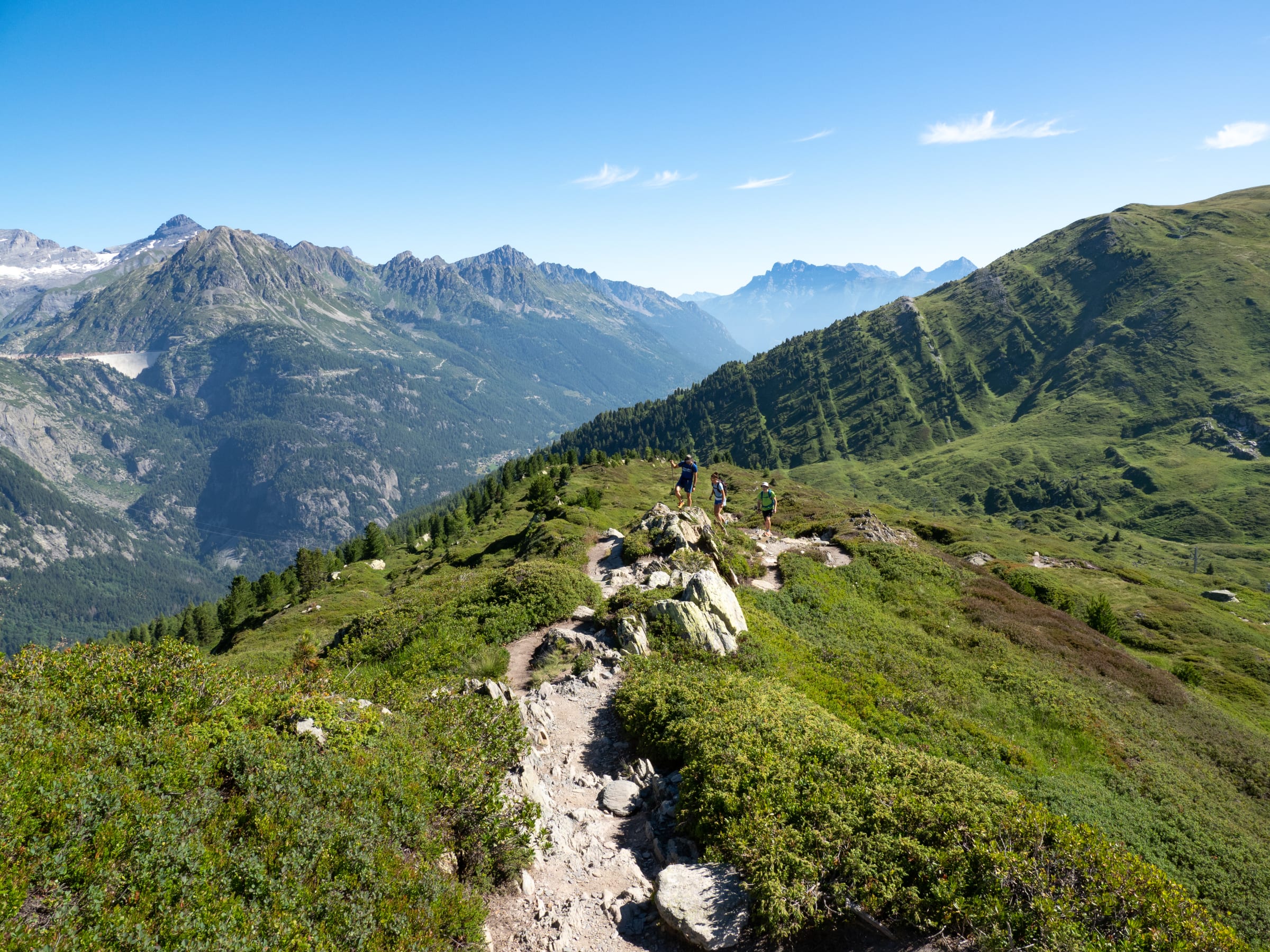 De smukkeste stier i Mont Blanc — billede 3
