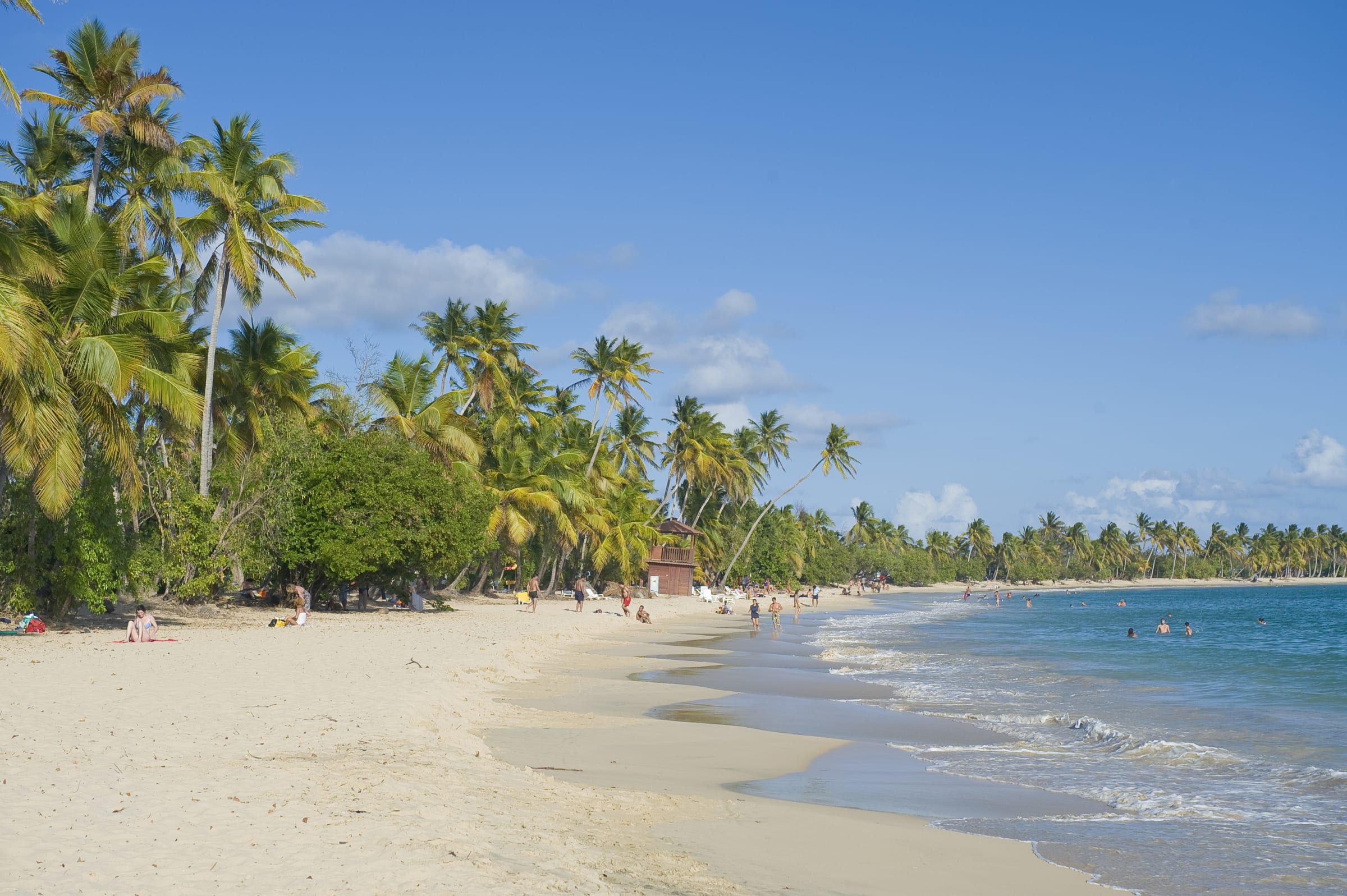 Opdag Martinique 8 dage – relateret UCPA rejse