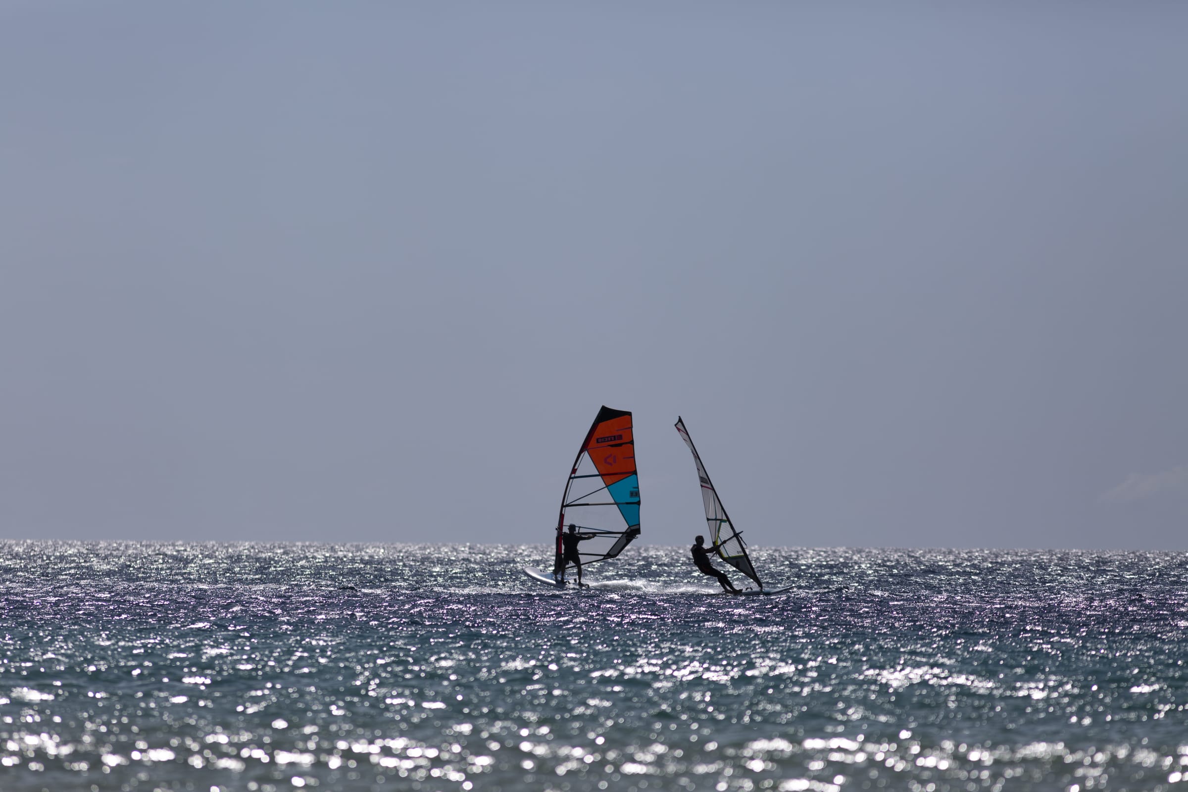 Windsurf — billede 7