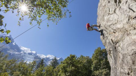 ️️ Argentière — billede 2