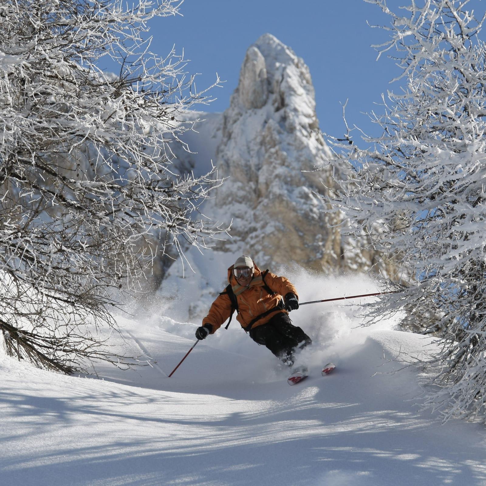 Freerando ski i højfjeldene