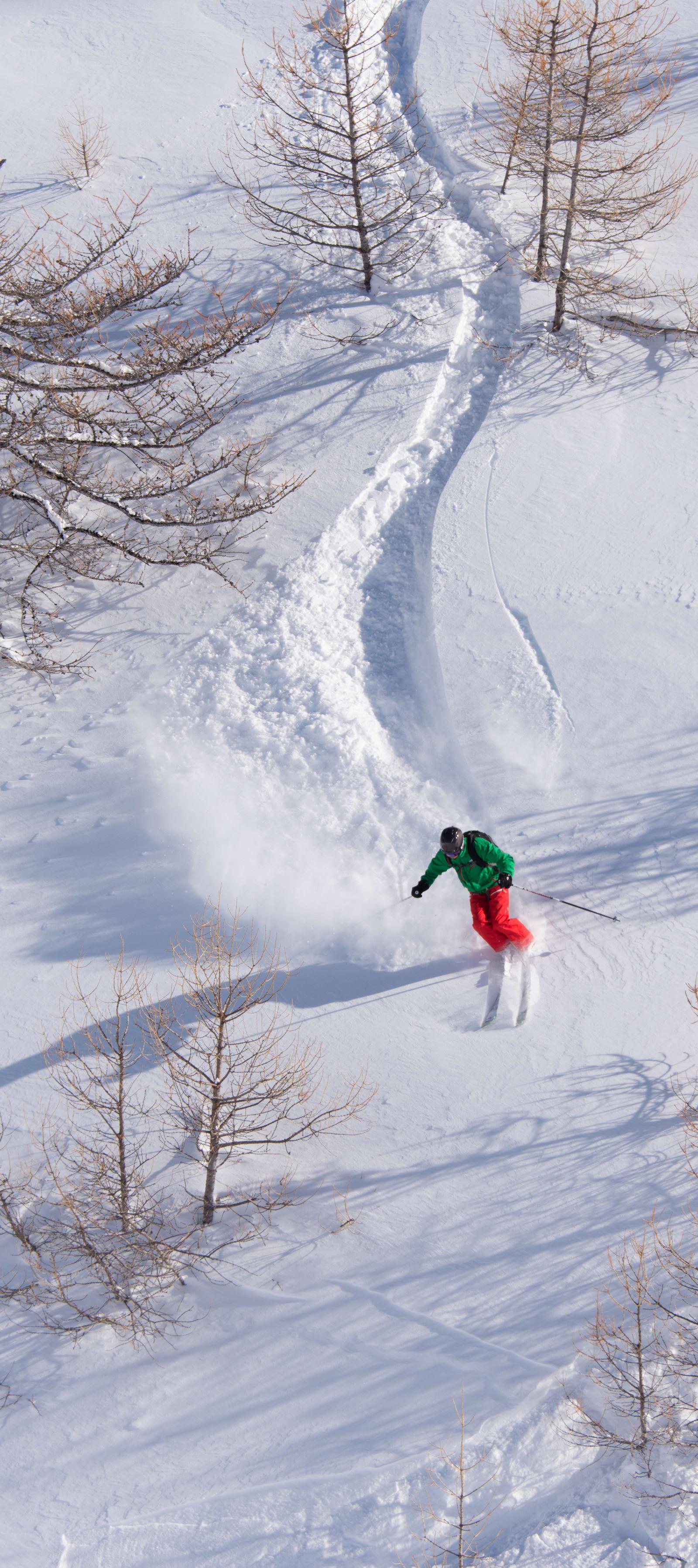 Ski freerando