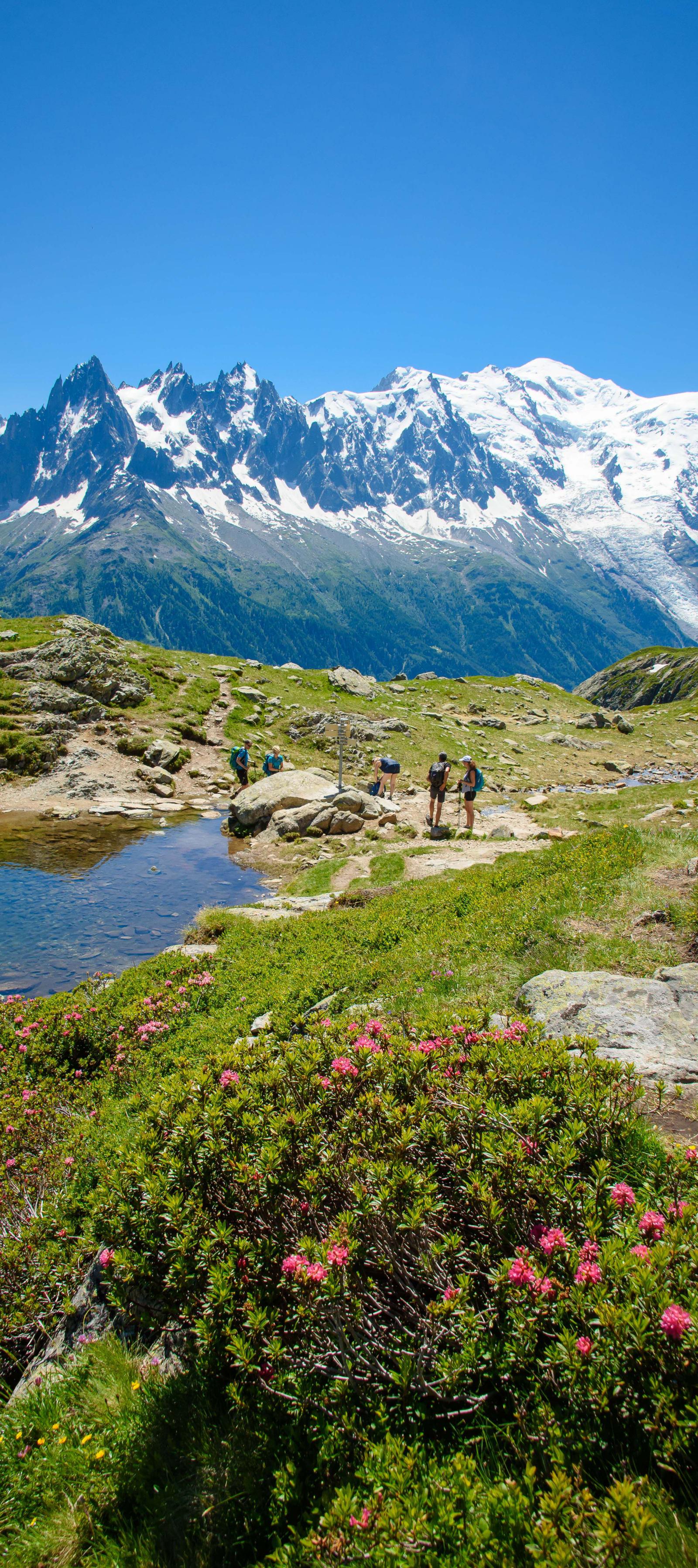 De smukkeste stier i Mont Blanc - special for begyndere - Happy Summer