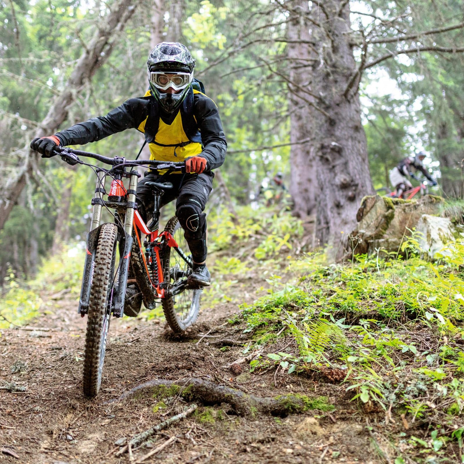 Downhill mountainbike Serre Che Evasion ekspert