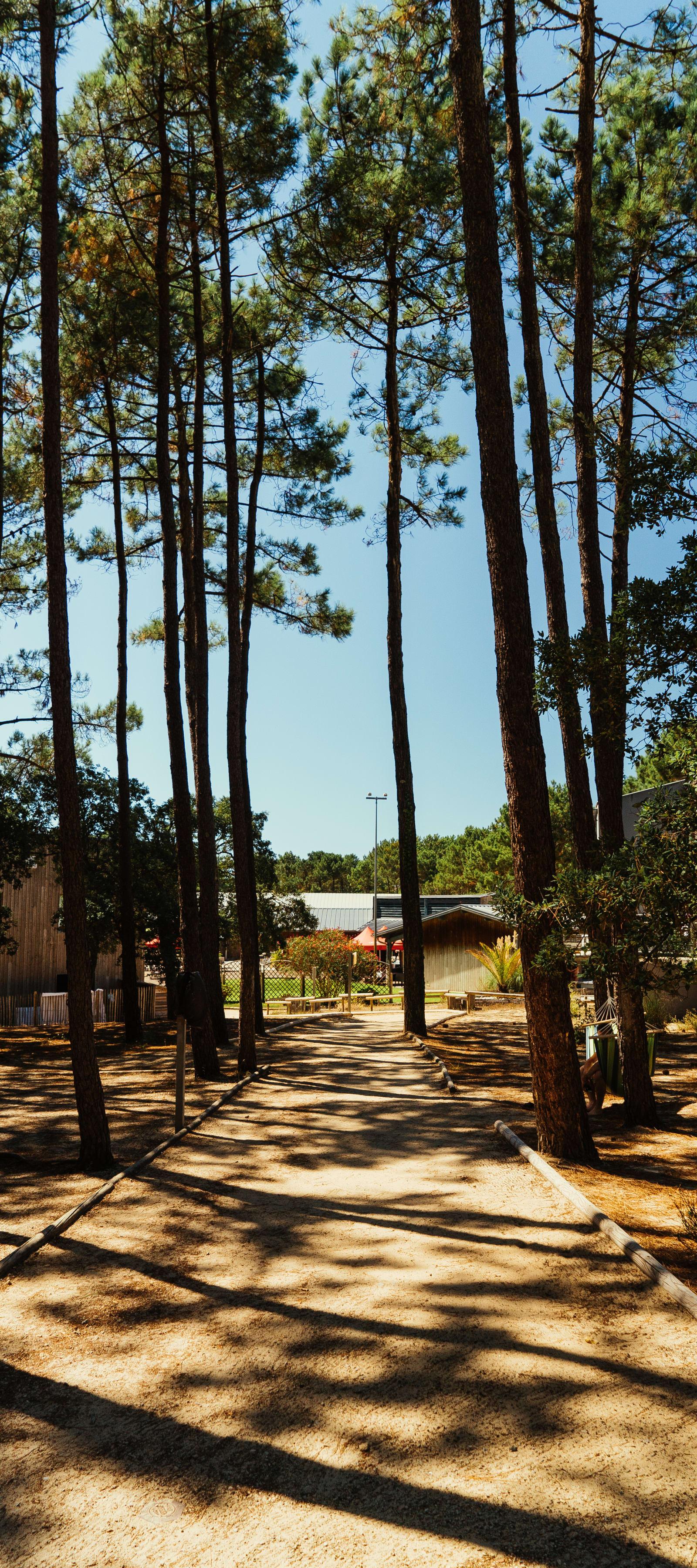 Godt tilbud i Landes