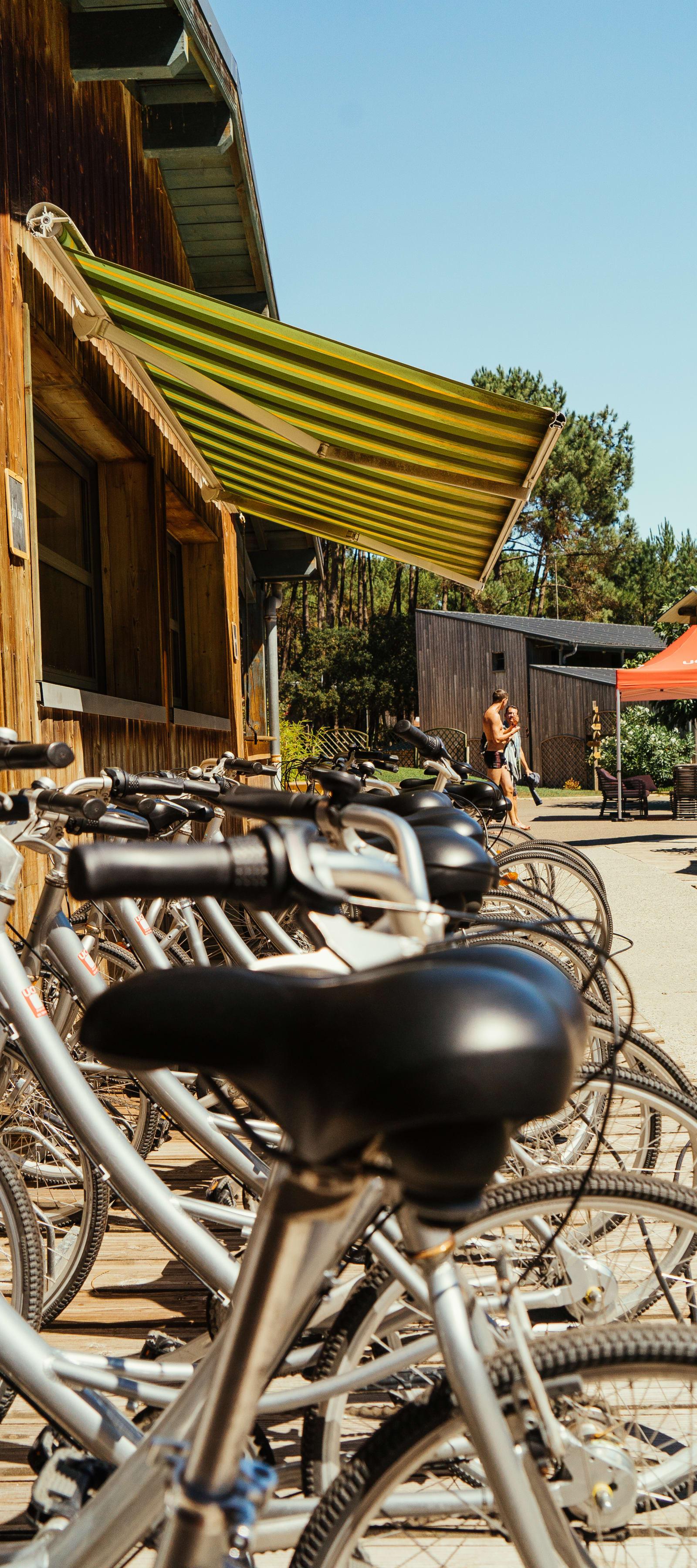 Surf & Bike