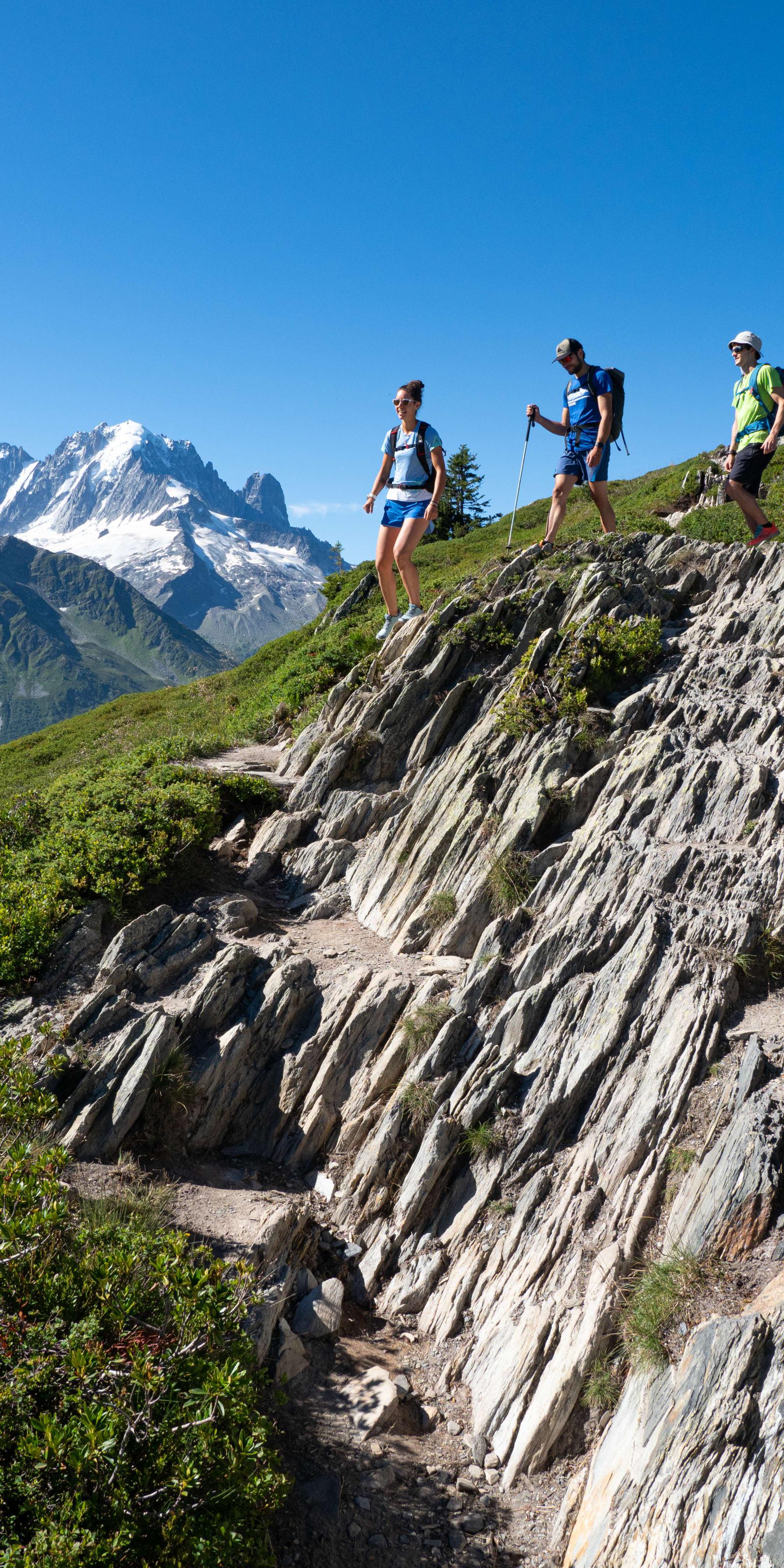 De smukkeste stier i Mont Blanc