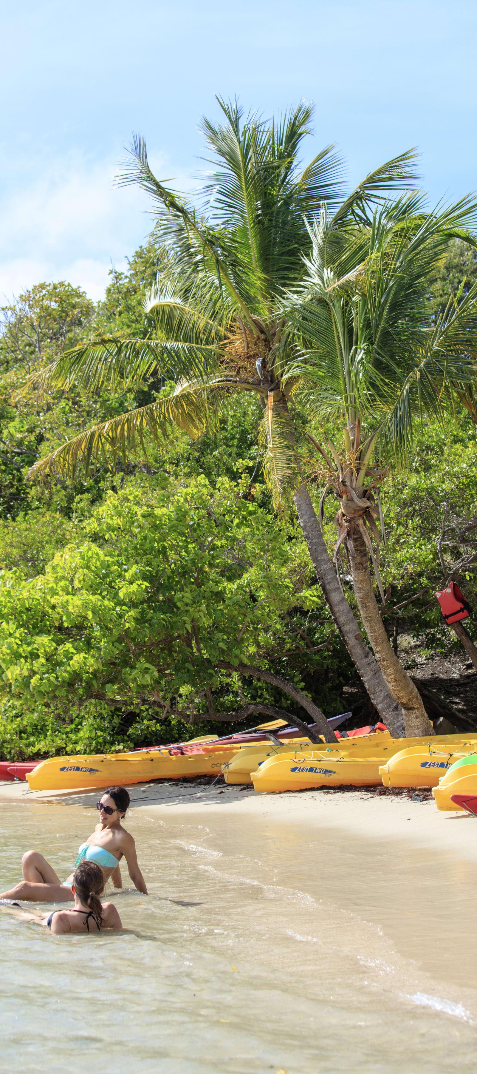 Pakke Godt Tilbud Martinique 8 dage