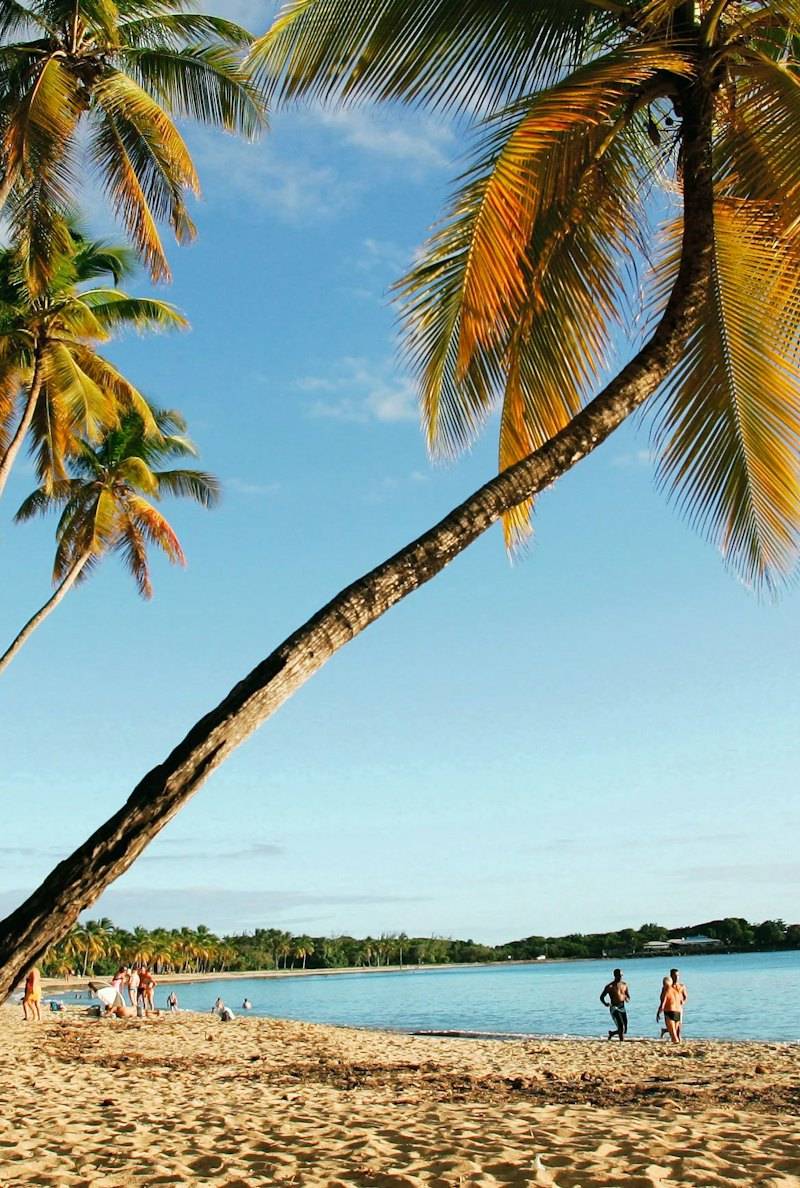 Martinique